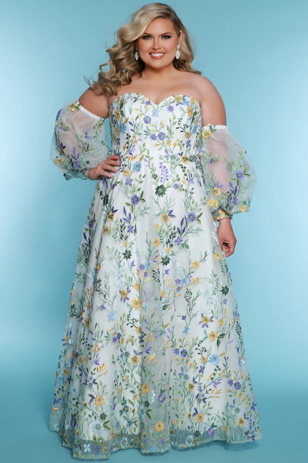 Plus Size Floral Embroidered Informal Dress