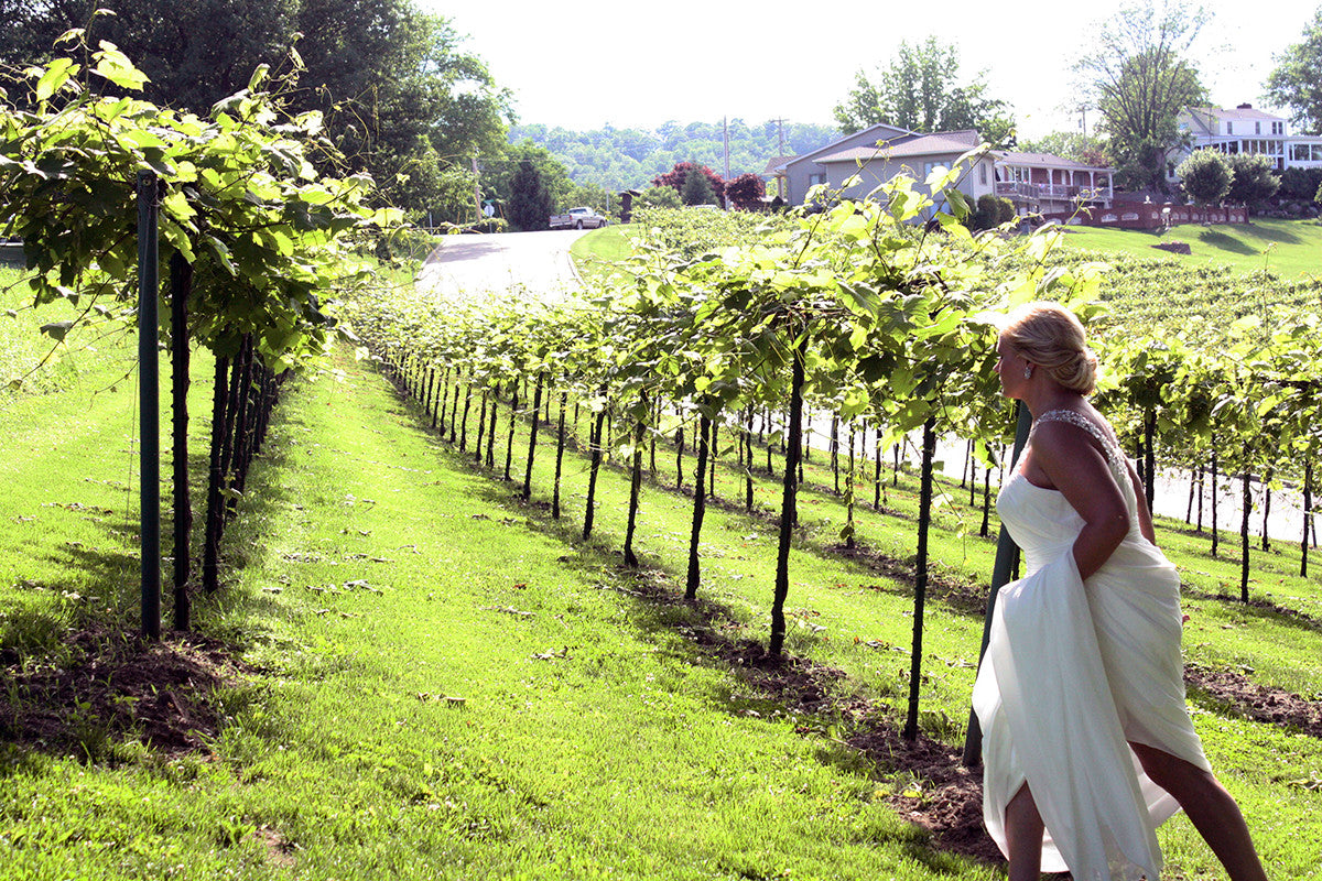 Plus Size Informal Wedding Dresses Shoot at Winery