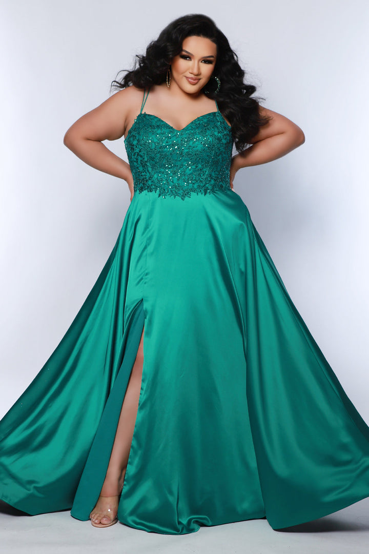 Plus Size Lace A-line Formal Dress