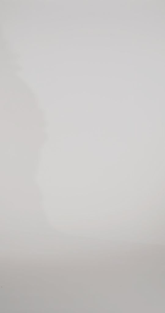 Johnathan Kayne for Sydney's Closet JK2313. Sequin paillette on stretch velvet, Mermaid/Fitted silhouette, Sweetheart neckline, Detachable drape sleeve, Natural waistline, Long invisible center back zipper, Slim/fitted skirt, Train with center back godet, Horsehair hem