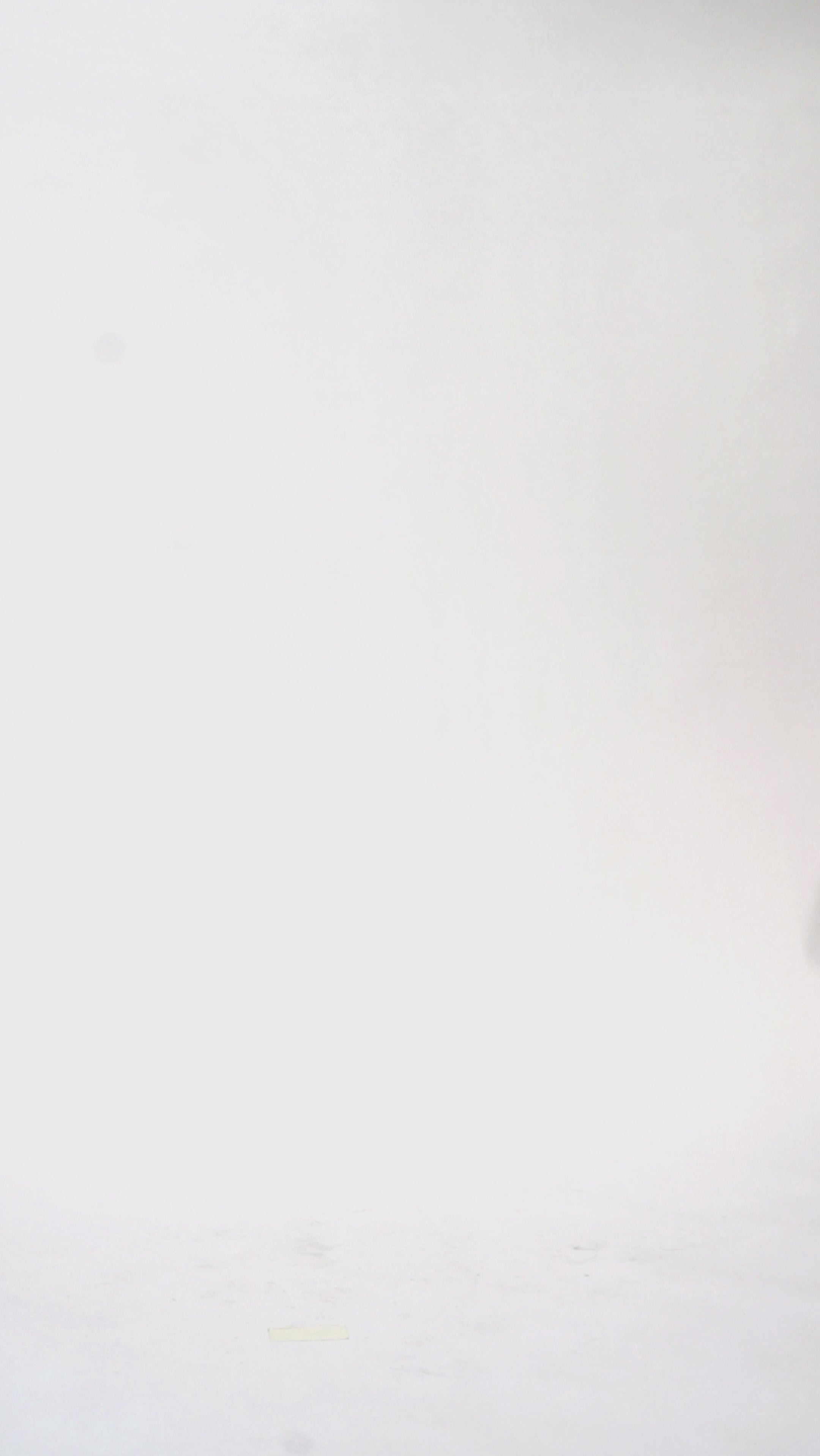 Woman models a floor length brown leopard print dress with a V-neckline and flutter sleeves, turning to show the back before walking off screen.