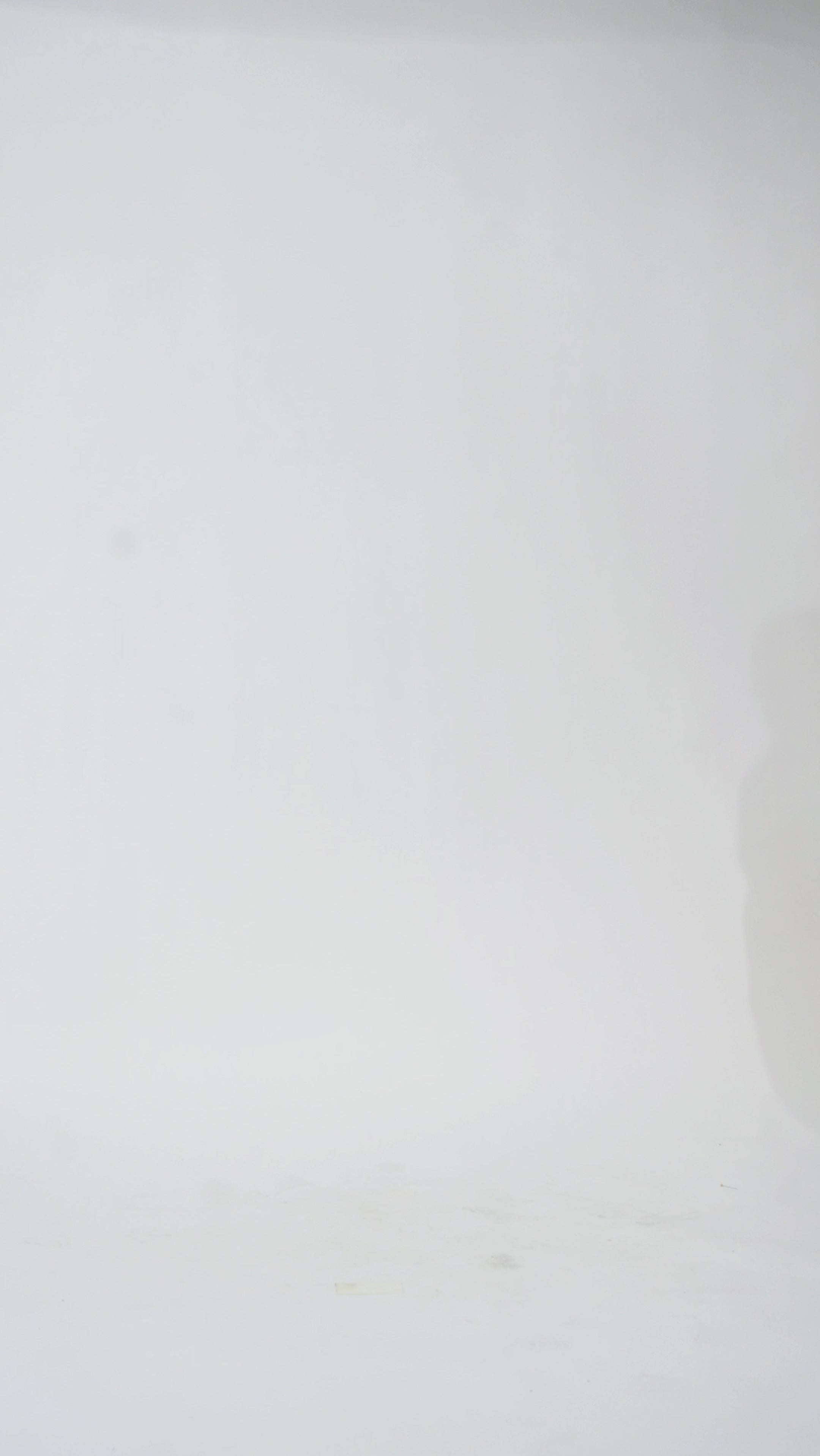 elebration's by Sydney's Closet style CE2617 in black. 

A-line plus size chiffon gown with V-neck, long cape sleeves and beaded 3 inch waistband. No slit, center back zipper and high scoop back.