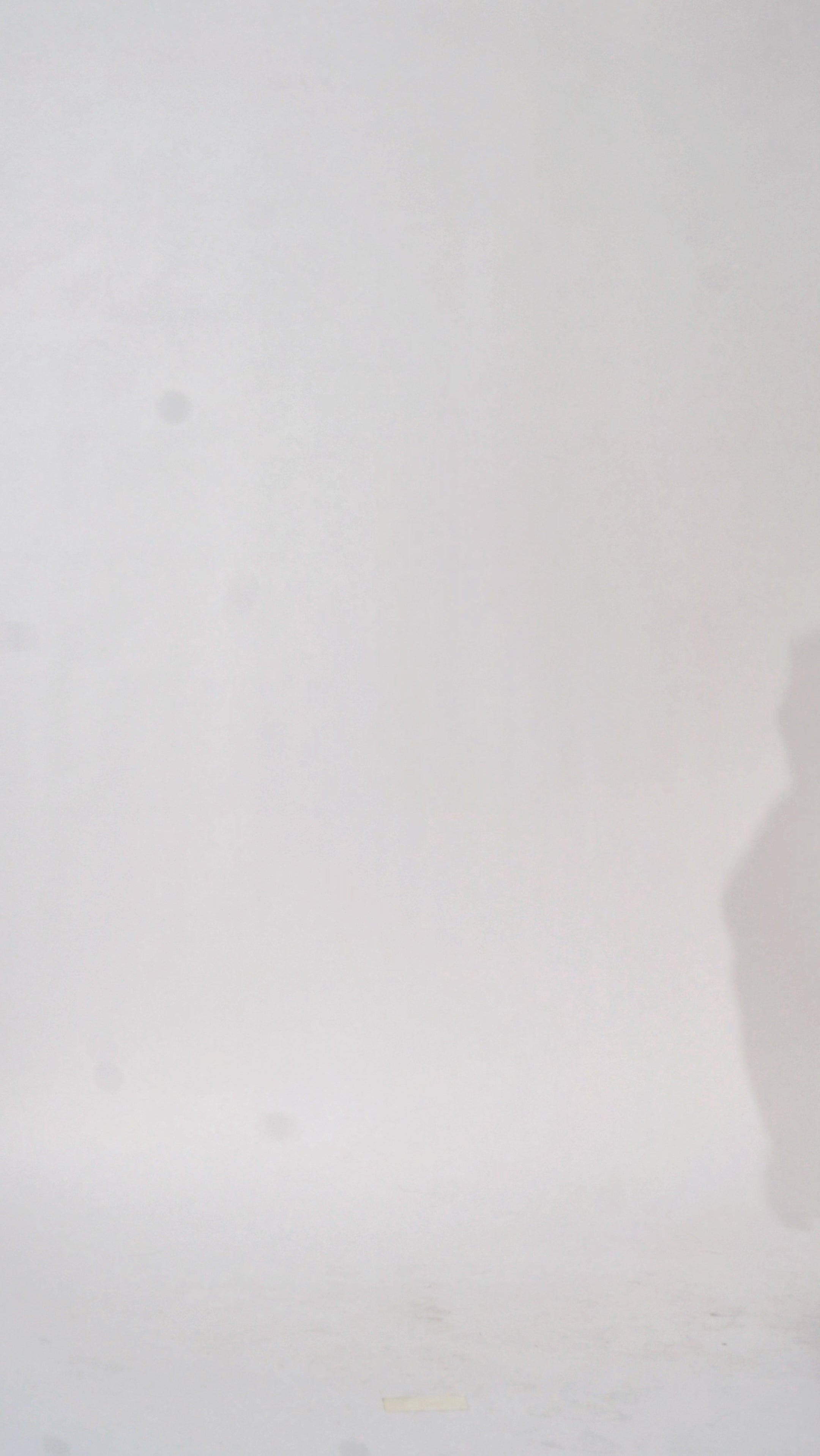 Plus size little black dress made of Guipure lace. Short sleeves, scoop neckline and center back zipper. CE2601 available in sizes 14-24 in black. Celebrations by Sydney's Closet.