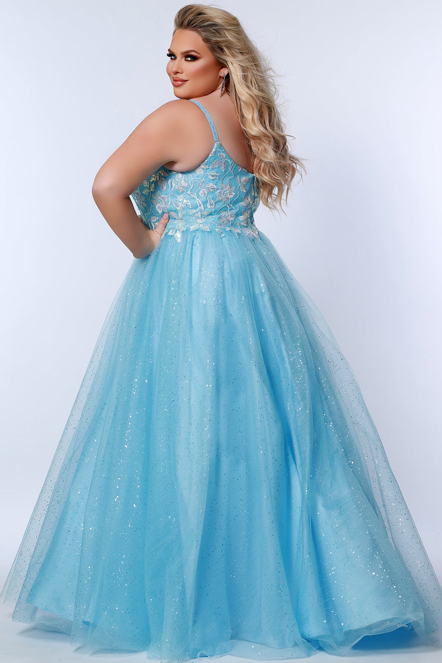 Plus Size A-Line Leaf Lace Glitter Tulle Ball Gown - TE2315